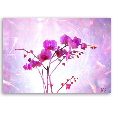 Quadro Su Tela, Orchidea Essenziale - 60x40