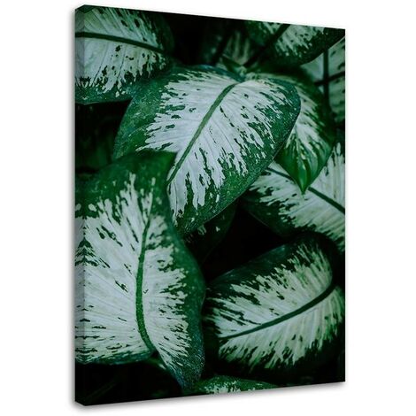 Novart Quadros - Completamente Pronto Da Appendere - Immagini - Foglie verdi - 7 Pezzi Set Moderni - N023071a
