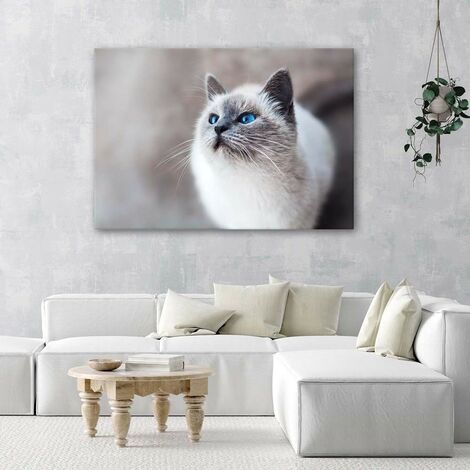 Tableau Brodé Main – Chat Sur Toile Avec Cadre – Fait Main, Occasion