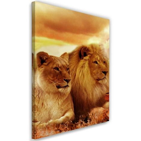 Quadro su tela, Leoni Africa Animali - 70x100 (1/5)