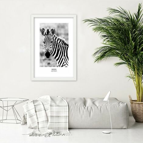 Quadro con cornice, Una zebra curiosa - 40x60