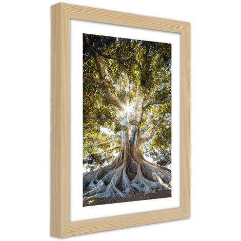 Quadro con cornice, Grande albero esotico - 30x45