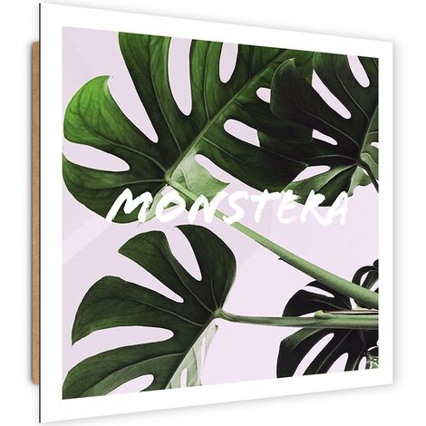 Quadro deco panel, Foglie esotiche - monstera - 60x60