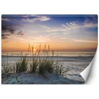 Carta Da Parati, Tramonto su una spiaggia - 200x140