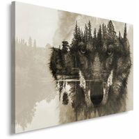 Quadro su tela, Lupo Foresta Animali Natura - 60x40