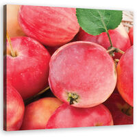 Quadro su tela, Macro Apple - 50x50