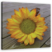 Quadro su tela, Girasole giallo - 40x40