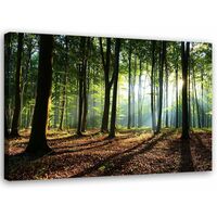 Stampa su tela, Foresta all'alba - 120x80
