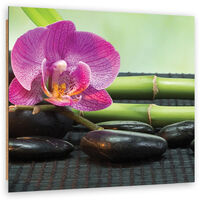 Quadro deco panel, Orchidea su pietre nere - 60x60