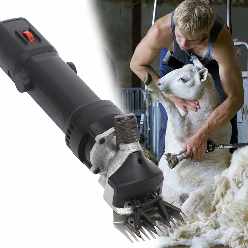 Tondeuse Mouton Électrique 690W Vitesse Réglable Arbre Flexible pour Laine  Mouton Chèvre 3600r / Min 220V - Cdiscount