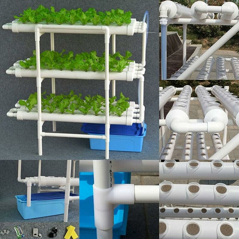 Vivosun DWC Hydroponics Futchoy Hydroponic Site Grow Kit De Culture 108/90 Plant VIVOSUN Hydroponics Growing System Vivosun DWC Hydroponics Futchoy Hydroponic Site Grow Kit De Culture 108/90 Plant VIVOSUN Hydroponics Growing System
