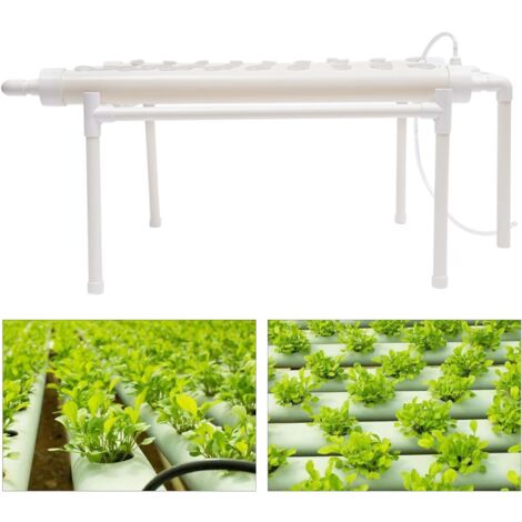Lot de 6 supports pour tiges de plantes, supports pour plantes, station