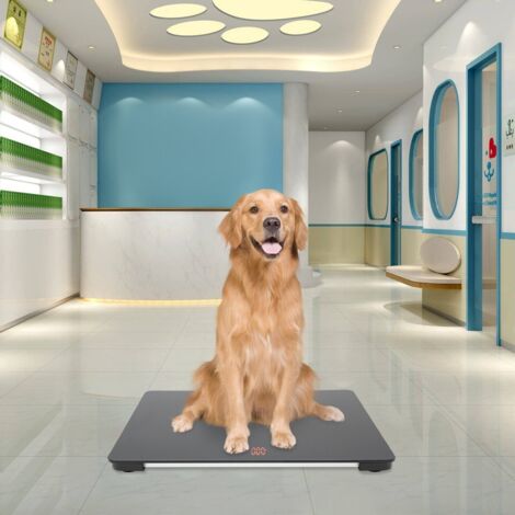 Balance plate-forme balance pour animaux 1000kg balance pour chiens balance pour animaux domestiques affichage LCD 65x45cm