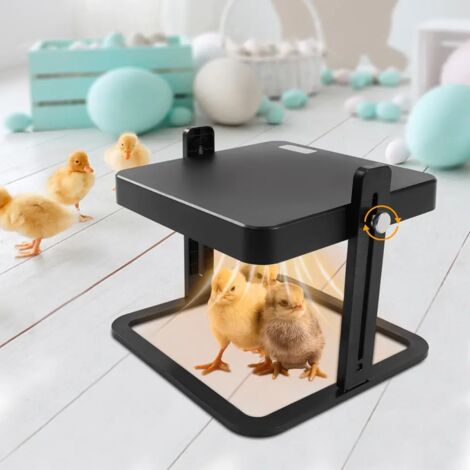 Plaque Chauffante Pour Poussins 10x10 Pouces - 25 Niveaux Hauteur - 15W - Chauffage Sûr Pour Élevage
