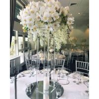 1Pièce Gamelles Pour Chats, Bol De Nourriture, Bol Pour Chat Surélevé