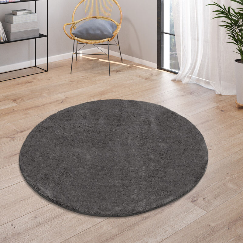 Paco Home Teppich, Kurzflor-Teppich Für Wohnzimmer, Super Soft, Weich,  Waschbar, In Dunkel Grau 80 cm Rund