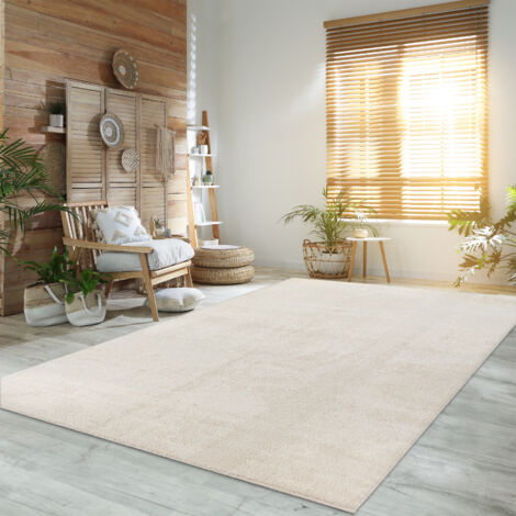 Paco Home Teppich Wohnzimmer Kurzflor Waschbar Weich Modernes Einfarbiges Muster 300x400 cm, Creme 2
