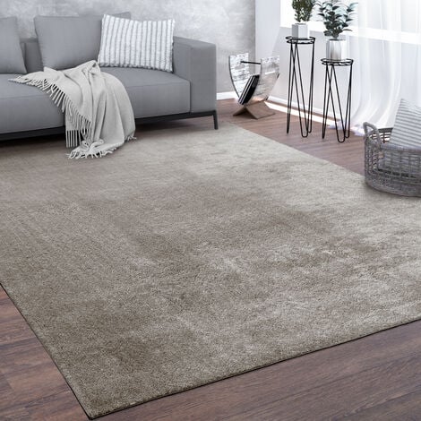 Paco Home Teppich, Kurzflor-Teppich Für Wohnzimmer, Super Soft, Weich,  Waschbar, In Grau 60x100 cm