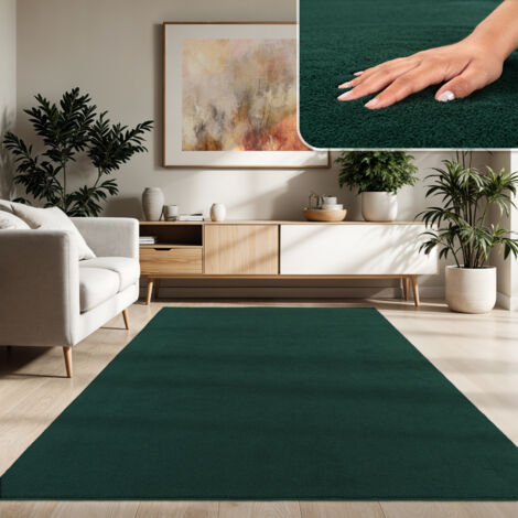 Paco Home Moderner Wohnzimmer Teppich Kurzflor Waschbar Weich Einfarbig Felloptik Anti-Rutsch Grün, 300x400 cm