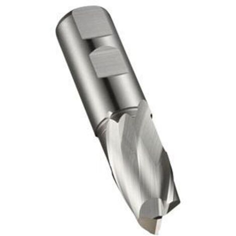 Fraise à rainurer de 25,4 mm de diamètre, longueur d'utilisation 45,5 mm, HSS-E-PM, blank, Z.2 (1/4)