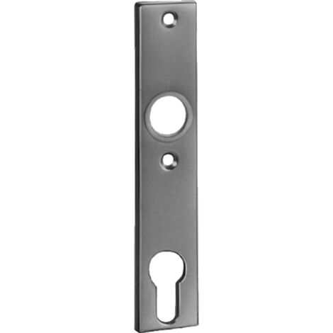 Plaque cylindrique courte 497Z LM F1/argent PZ 72mm (1/4)
