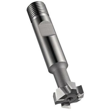 Fraise à rainures en T HSS-E Z.8 Ø nominal 21 mm (1/5)
