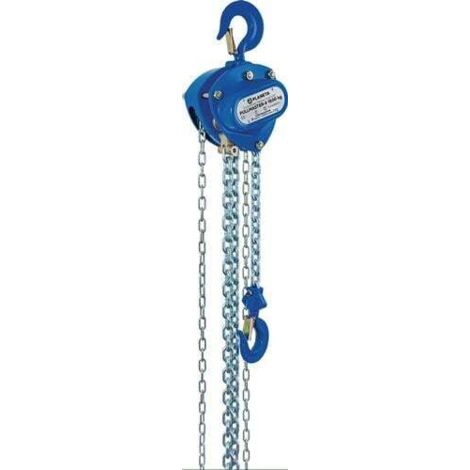 Palan à Chaîne Manuel 1000kg (1 Tonne) - Hauteur De Levée 3 Mètres, Crochets Acier, Système De Blocage
