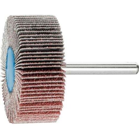 PFERD meule à lamelles Ø 50 x H 20 mm grain 60 - 44504066