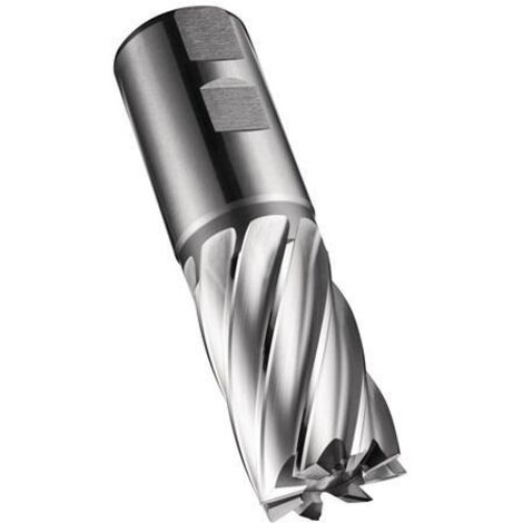 Fraise à arbre C247 DIN 844 K D.26mm Lame-Longueur 45mm HSS-E-PM Vide 30° Z.6 (1/5)