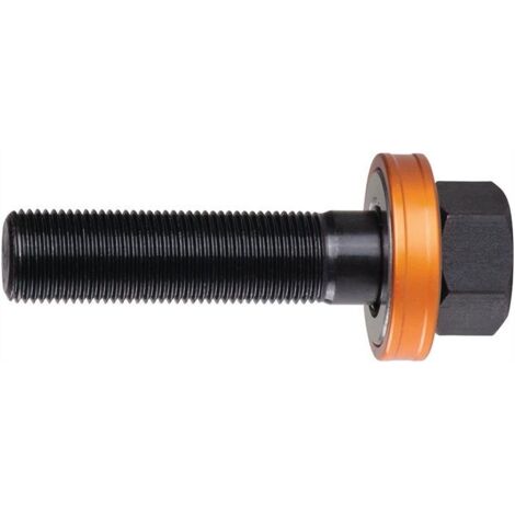 Vis de rail L.50mm D.9,5mm avec boule (1/4)