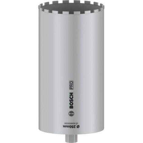 Bosch PRO Core Cutter wet carotteuse diamantée argenté 250 mm