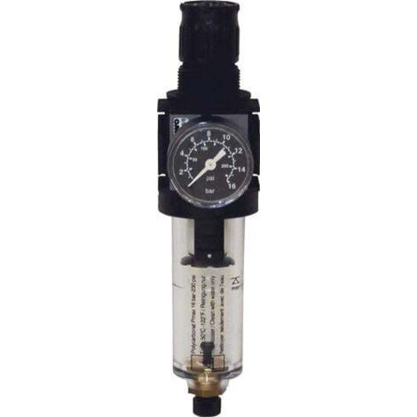 EWO Filtre régulateur de pression Type 480 - variobloc filetage 15,39 mm - 480233 (1/4)