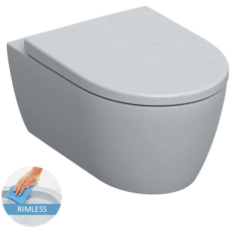 Geberit Duofix Toilet Frame + Geberit iCon Rimless bowl + Softclose seat + White plate (ICONGEB3)
