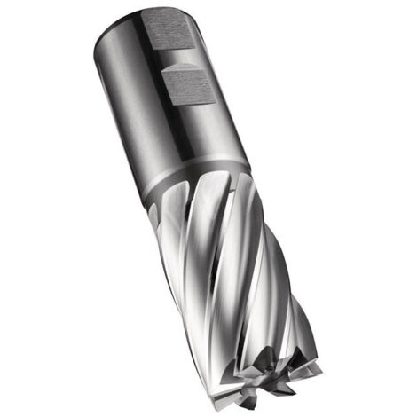 Fresa a candela C247 DIN 844 K D.30mm Tagli - L.45mm HSS-E-PM Bianco 30° Z.6