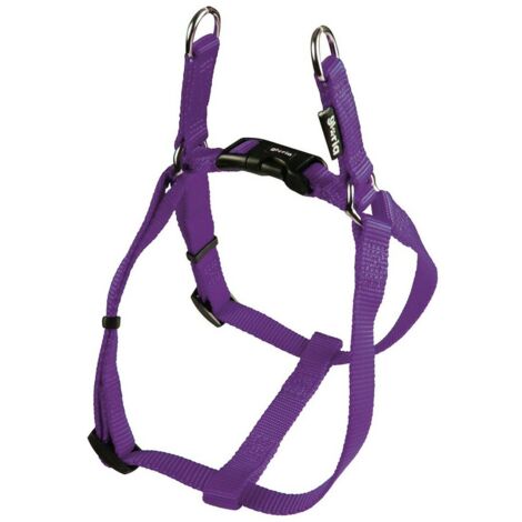 Hundehalsband Mit Pfotenabdruck & Glöckchen – Verstellbar, Nylon, Größe S (15–30 Cm)