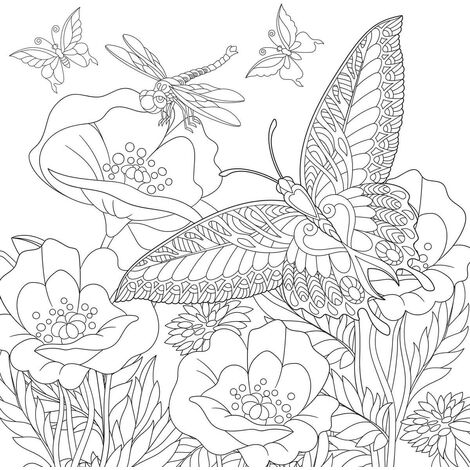 Tableau sur toile nature à colorier 30x30 cm - Impression sur Toile Murale Décorative - Image imprimée en HD sur Toile - Toile sur Châssis en Bois FSC - Fabriqué en France (1/5)
