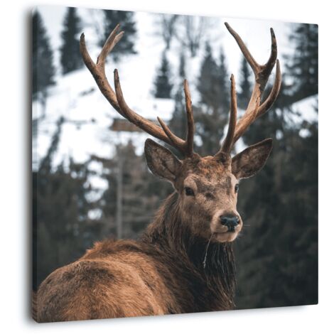 Tableau sur toile regard d'un cerf 65x65 cm - Impression sur Toile Murale Décorative - Image imprimée en HD sur Toile - Toile sur Châssis en Bois FSC - Fabriqué en France (1/5)