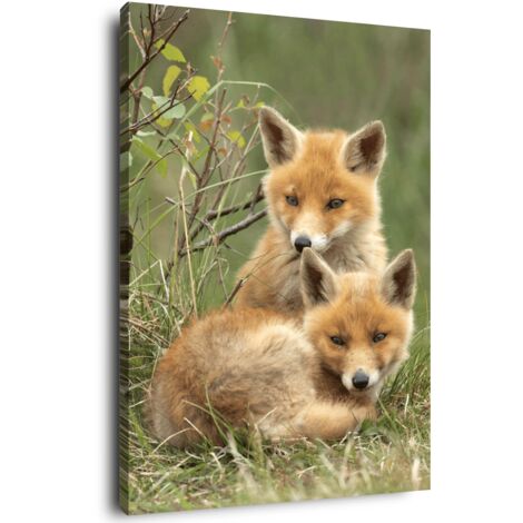 Tableau sur toile bébés renards 30x45 cm - Impression sur Toile Murale Décorative - Image imprimée en HD sur Toile - Toile sur Châssis en Bois FSC - Fabriqué en France (1/5)