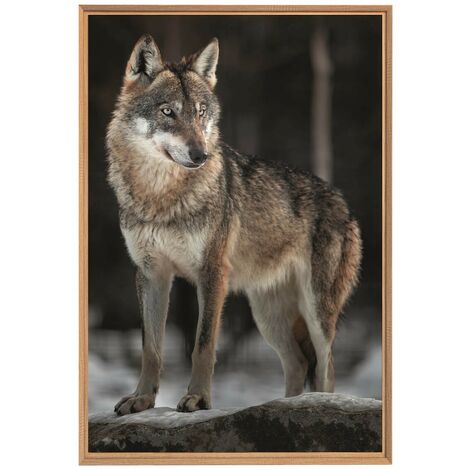 Tableau mural encadré le loup 65x97 cm - Tableau Mural Décoratif - Image Encadrée Imprimée en HD - Impression 65x97 cm sur Fibres de Bois FSC - Finition Mate - Fabriqué en France (1/5)