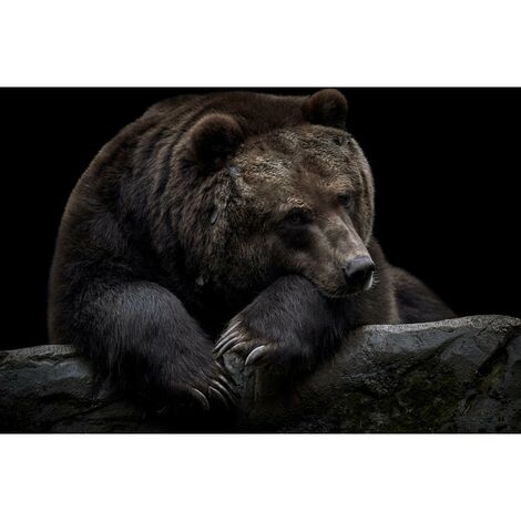 Tableau sur toile ours brun du Kamtchatka 45x65 cm - Impression sur Toile Murale Décorative - Image imprimée en HD sur Toile - Toile sur Châssis en Bois FSC - Fabriqué en France (1/5)