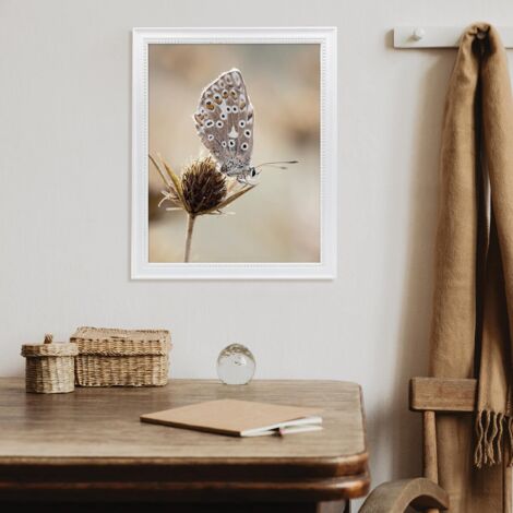 Cadre Photo Blanc 40x50 cm – Cadre en Bois Massif Naturel Blanc - Cadre pour Photo 40x50 cm convient au A3 – Marque Française – Cadre Photo Carmen Blanchi 40x50 cm