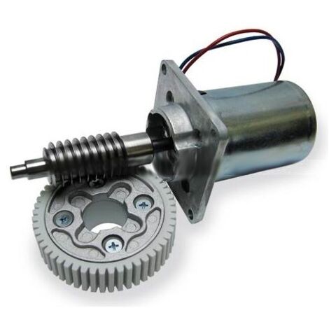NICE SPAMG00200 Gruppo Motore Elettrico 24V ROBUS 350 400 Ricambio