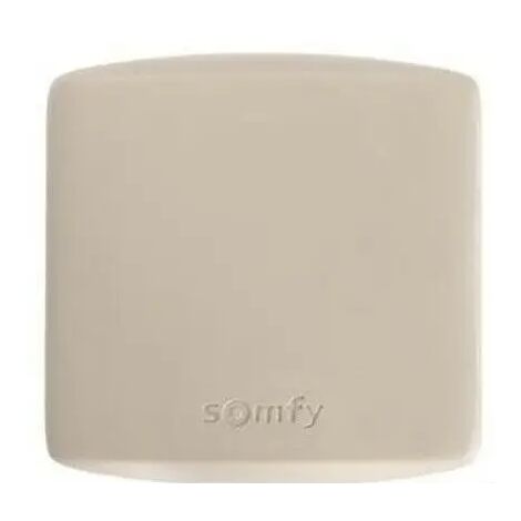 1841022 - Receptor Rts estándar para puertas y garajes Somfy