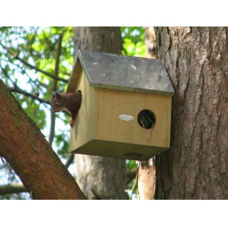 Kobel Abri Écureuil Tidyard – Bois Sapin Massif Naturel – 26 X 25 X 29 Cm – Maison Chaleureuse Pour Écureuils Du Jardin