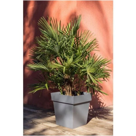 Pot de fleur carré Toscane 49,5 x H.52,5 cm - Gris anthracite - Eda