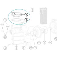 Hayward – Couvercle et joint de préfiltre pour pompe de piscine Max Flo – Plastique transparent – Remplacement pour filtration optimale