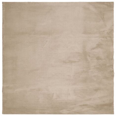 Tapis HUARTE à poils courts doux et lavable sable 160x160 (1/5)