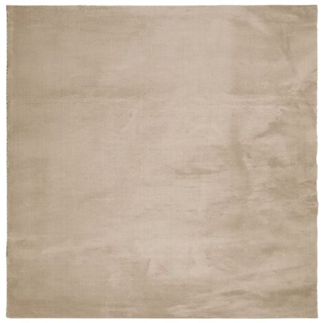 Tapis HUARTE à poils courts doux et lavable sable 240x240 (1/5)