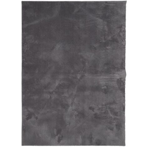 Tapis HUARTE à poils courts doux lavable anthracite 200x280 (1/5)