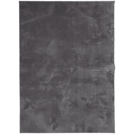 Tapis HUARTE à poils courts doux lavable anthracite 160x230 (1/5)